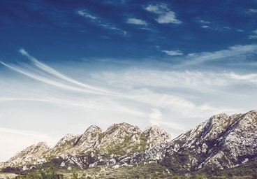 短信轰炸业务网