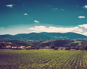 云呼炸仇人软件